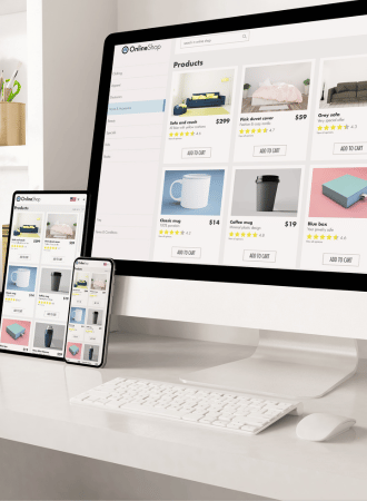 Expert eCommerce website design by eCommerce Solution Hub